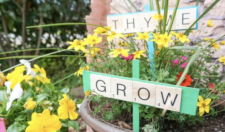 Garden DIYs: Creative Projects to Keep Your Green Thumb Busy Until Spring!